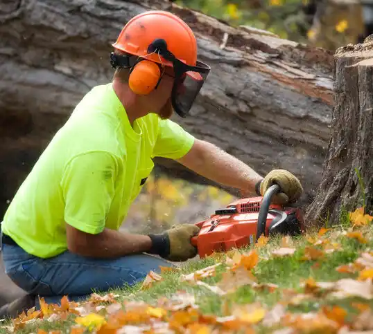 tree services Lowry City